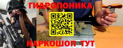 прущие грибы Бийск