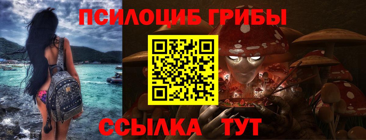 Псилоцибиновые грибы прущие грибы Саратов