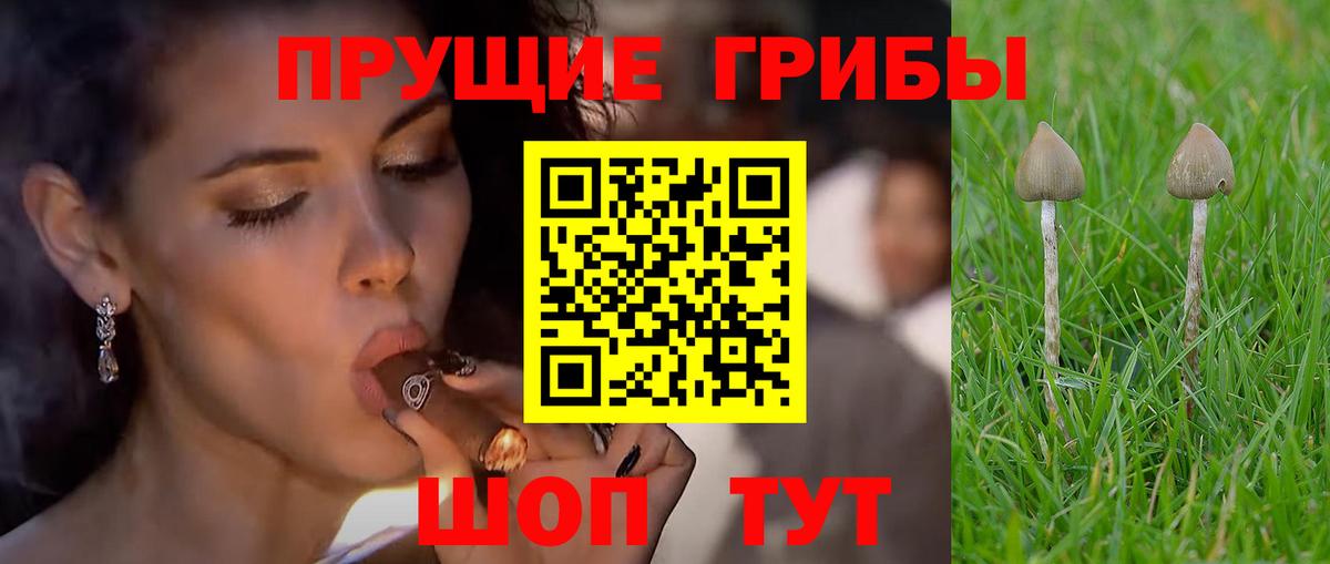Саратов  Псилоцибиновые грибы ЛСД  Вход с VPN 